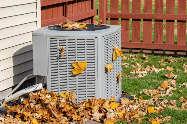 Best HVAC maintenance near me  in Fruita, CO